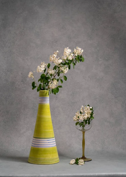 Una Rama Con Flores Blancas Jarrón Arcilla Verde Sobre Fondo — Foto de Stock