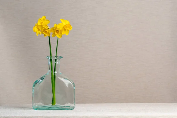 玻璃瓶里有两个黄色的水仙花 一个灰色背景的瓶子 冷静点春天 喜庆的心情 轻盈和快乐 生命的试金石静谧的生活 — 图库照片