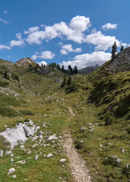 Yüksek kayalar. İtalya 'da Alpler. Güney Tyrol. Dolomitler. Taşları ve ağaçları olan yeşil bir manzara. Dağlardaki patikalar. Seyahat et. Turistik yerler. Güzel doğa. Mavi bulutlar