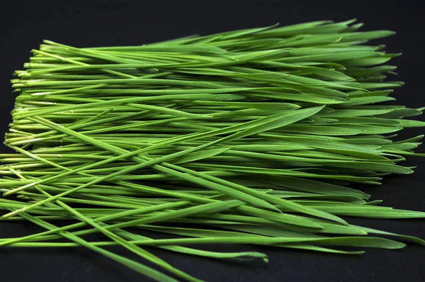 Superalimento Sano Micro Verde Sobre Fondo Negro — Foto de Stock