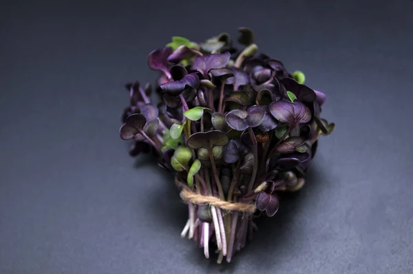 Siyah arka planda mikro-yeşil sağlıklı süper yiyecekler