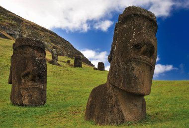 Şili 'nin Paskalya Adası' ndaki Rano Raraku Volkanı 'ndaki açık mavi gökyüzü ve yeşil çim tarlasına karşı Moai heykellerinin yakın görüntüsü. Rapa Nui Milli Parkı.