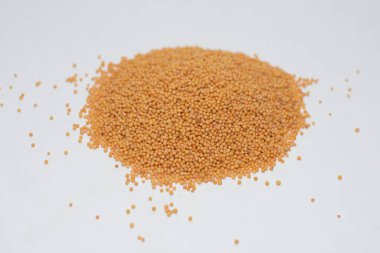 beyaz arkaplanda tahıllı hardal