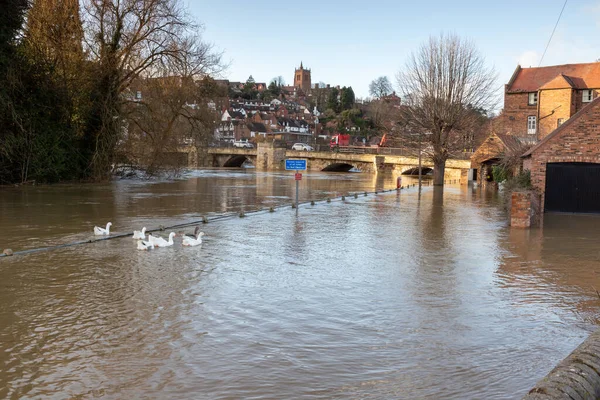 21 Şubat 2022 'de Storm Franklin vurduktan sonra BridgNorth, Shropshire, İngiltere' de sel baskını