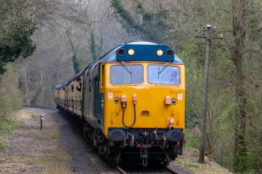 BR sınıfı 50035 Ark Royal Diesel. İngiliz Shropshire, İngiltere 'deki Country Park Halt' taki Severn Vadisi Demiryolu 'nun motoru çalışıyor.