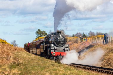 Buharlı tren 76084 nolu tren Kelling Heath Norfolk, İngiltere 'de seddi yangını söndürmek için durdu.