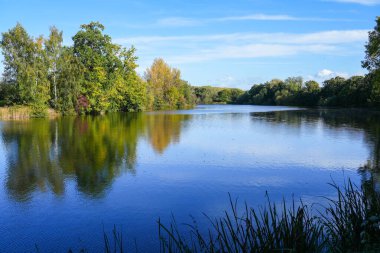 Güney Staffordshire 'daki Patsull Park' taki bir balıkçı gölüne yansıyan ağaçlarda sonbahar renkleri