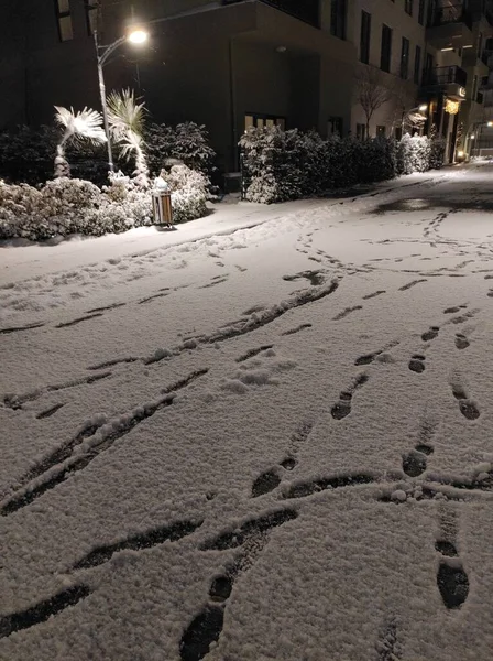 雪のコンセプトや雪の背景の足跡 — ストック写真