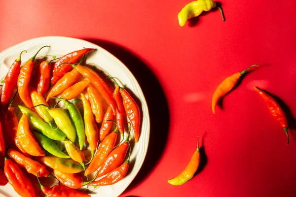 Kırmızı arka planda kırmızı ve yeşil biber. Geleneksel Meksika baharatı, Latin Amerika ve İspanyol yemekleri.