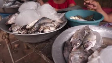 Leon Nikaragua 'da geleneksel bir pazarda balık satan tanınmamış kadınlar
