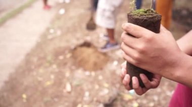 Leon Nikaragua 'da ağaçların yeniden ağaçlandırıldığı bir günde siyah bir çantanın içinde ağaç tutan Latin bir gencin eline yakın.
