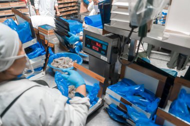 Chinandega Nikaragua 'daki endüstriyel gıda fabrikasında karides tartıp paketlemek.