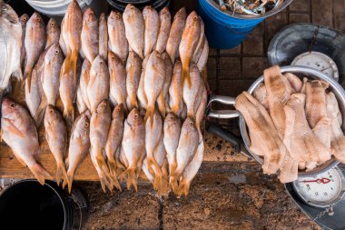 Nikaragua 'daki Bluefield liman pazarında taze balık ve pirzola satışı için en iyi manzara.