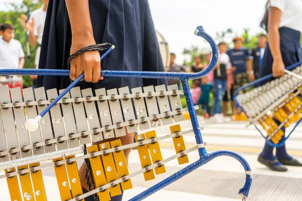 Latin American student girls with uniforms carrying musical instruments to celebrate the national holidays of Central America