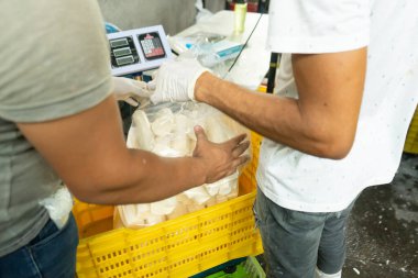 Latin Amerika 'daki Cassava işleme fabrikasında çalışanlar ürünü tartıyor.