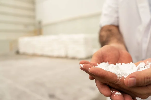 Latin Amerika 'da endüstriyel Cassava unu üretimi