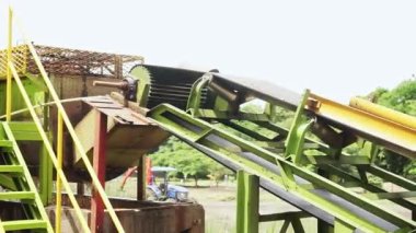 Latin Amerika 'daki bir bitkiye manyok parçaları taşıyan yiyecek taşıma bandı.