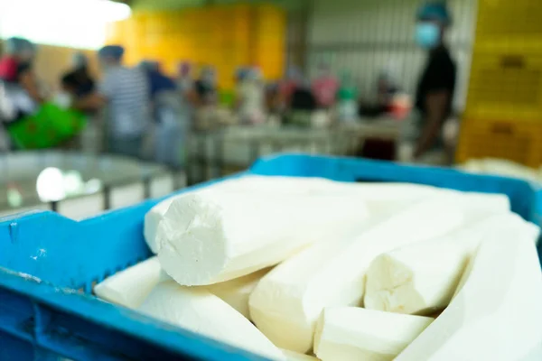Peeled cassava in a processing plant for artisanal raw material in Latin America