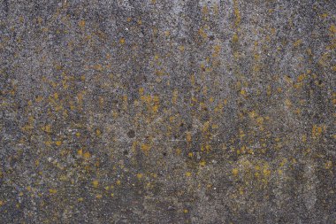 abstract background in the form of a concrete wall or surface with cracks