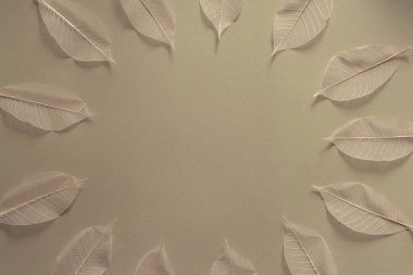 Kağıdın arkaplan yaprakları