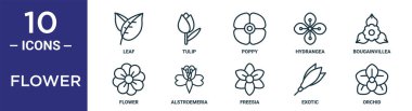 çiçek özeti simgesi seti ince çizgi yaprağı, haşhaş, begonvilleya, alstroemeria, egzotik, orkide, rapor için çiçek simgeleri, sunum, diyagram, web tasarımı