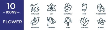 çiçek taslak simgesi seti ince çizgi akçaağaç yaprağı, nasturtium, philodendron, kar damlası, aloe vera, BlueBell, rapor için anthurium simgeleri, sunum, diyagram, web tasarımı