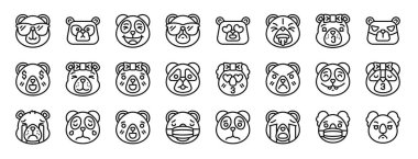 Ayı, panda, ayı, ayı, ayı, vektör simgeleri, rapor, sunum, diyagram, web tasarımı, mobil uygulama gibi 24 ana hatlı web ayısı simgesinden oluşan bir set