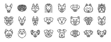 Tazı, puli, Sibirya husky, Afgan tazısı, Corgi, Labrador retriever, rapor, sunum, diyagram, web tasarımı, mobil tasarım gibi 24 ana hatlı web köpeğinin oluşturduğu ikonlar.