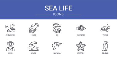Anglerfish, kalamar, yılan balığı, palyaço balığı, kaplumbağa, dalgıç, rapor için dalga vektör simgeleri, sunum, diyagram, web tasarımı, mobil uygulama gibi 10 ana hatlı ağ deniz ikonu seti