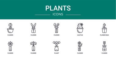Çiçek, çiçek, çiçek, kaktüs, tomurcuk, rapor, sunum, diyagram, web tasarımı, mobil uygulama gibi 10 ana hatlı web bitkisi simgesi kümesi
