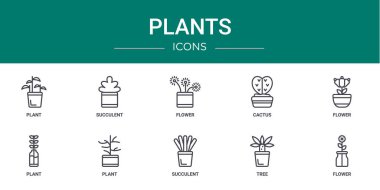 Rapor için bitki, sulu, çiçek, kaktüs, çiçek, bitki, bitki vektör simgeleri, sunum, diyagram, web tasarımı, mobil uygulama gibi 10 ana hatlı web bitkisi simgesi seti