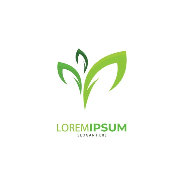 Doğa yaratıcı organik konsept. Yaprak simgesi, kurumsal kimlik logosu, şirket grafik tasarımı