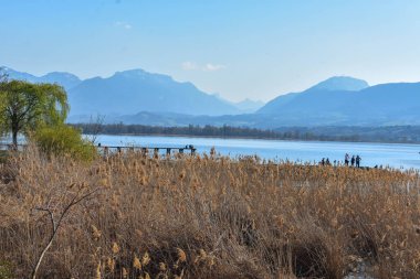 Bourget Gölü (Fransız Alpleri) ve arkaplanda dağlar olan huzurlu bir manzara.