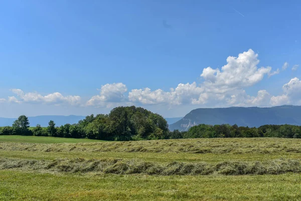 Fransa 'daki dağlarda yeşil tarla ve mavi gökyüzü