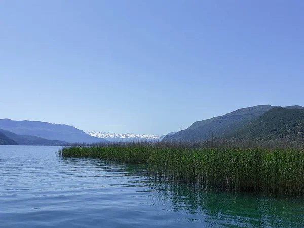 Dağlarda su bitkileriyle güzel bir göl