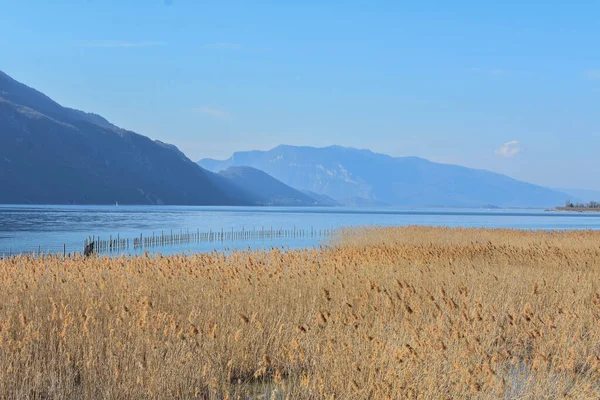 Bourget Gölü ve Fransa 'da sazlıkların arkasındaki dağlar ile güzel bir manzara.