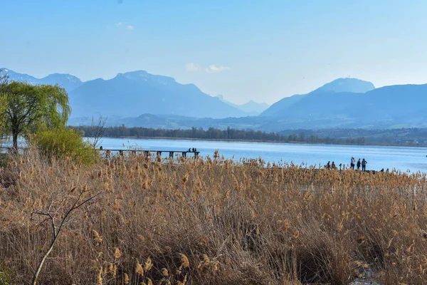 Bourget Gölü (Fransız Alpleri) ve arkaplanda dağlar olan huzurlu bir manzara.