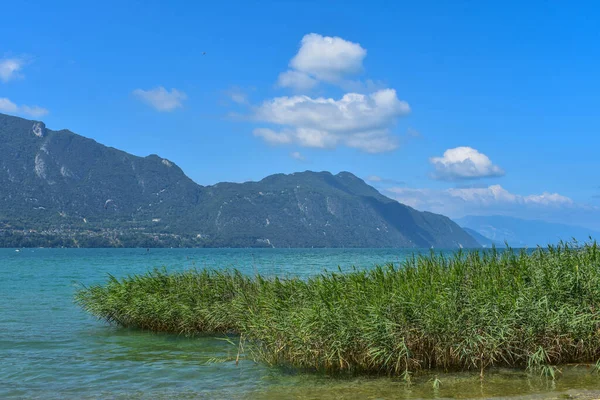 Bourget Gölü ve Fransız Alpleri 'nde sazlıklar