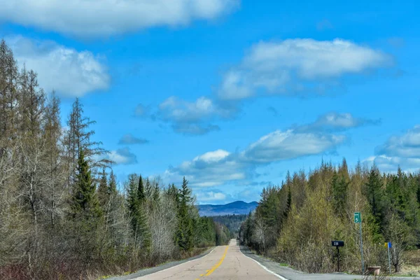 Ormanı geçerek bir dağa çıkan güzel bir yol manzarası. Quebec, Kanada