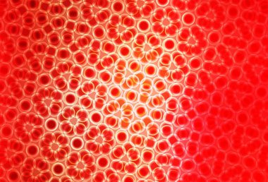 Dairesel açık kırmızı vektör şablonu. Doğa tarzında renkli baloncuklu soyut illüstrasyon. İş ilanınız için tasarım.