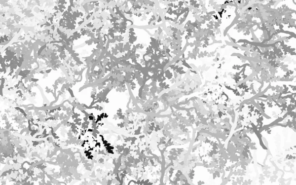 Светло Серый Вектор Абстрактный Фон Листьями Ветвями Красочная Абстрактная Иллюстрация — стоковый вектор