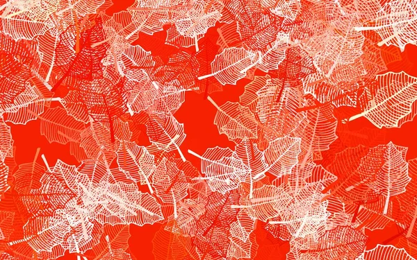 Light Orange Vektor Abstraktes Muster Mit Blättern Blätter Und Blüten — Stockvektor