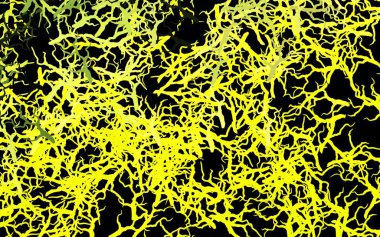 Koyu yeşil, sarı vektör karalama dokusu yapraklarla, dallarla. Yapraklar, beyaz arka planda doğal dallar. İş tasarımınız için yepyeni bir tarz.