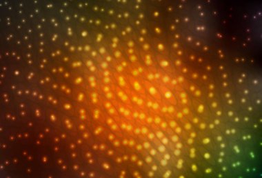 Koyu yeşil, diskli sarı vektör dokusu. Doğa tarzında bulanık halkaları olan güzel renkli çizimler. Fütürist reklamlar ve kitapçıklar için şablon.