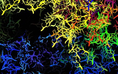 Koyu renkli vektör arkaplanı yapraklarla, dallarla karalıyor. Origami tarzında yaprak ve dalların karalama çizimi. Web sitesi yöneticileri ve tasarımları için desen.