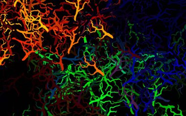 Koyu renkli vektör doğal zemin, yaprakları ve dalları var. Yaprakları ve dalları olan zarif, parlak bir illüstrasyon. Markan için şık bir model..