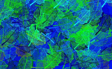 Koyu mavi, yeşil vektör yapraklı doğal sanat eseri. Karalama tarzında yaprakları olan belirsiz bir çizim. Marka kitabınız için yeni şablon.