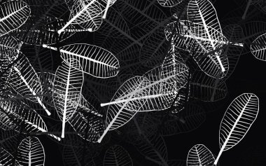 Açık gri vektör çizimi. Yapraklarla. Yapraklı modern geometrik soyut çizim. Duvar kağıdı tasarımınız için yeni bir doku.