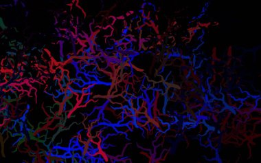 Koyu renkli vektör doğal desenli yapraklar, dallar. Yapraklar ve dallarla karalama tarzında renkli çizimler. Ağ ve ambalaj için elle boyanmış tasarım.