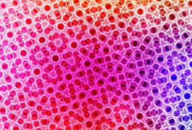 Açık pembe, küreli kırmızı vektör deseni. Bulanık dekoratif tasarım baloncuklu soyut tarzda. Marka kitabınız için yeni şablon.